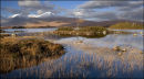 Rannoch Moor